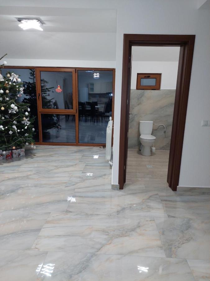 Cîrţişoara Casa Cristina酒店 外观 照片