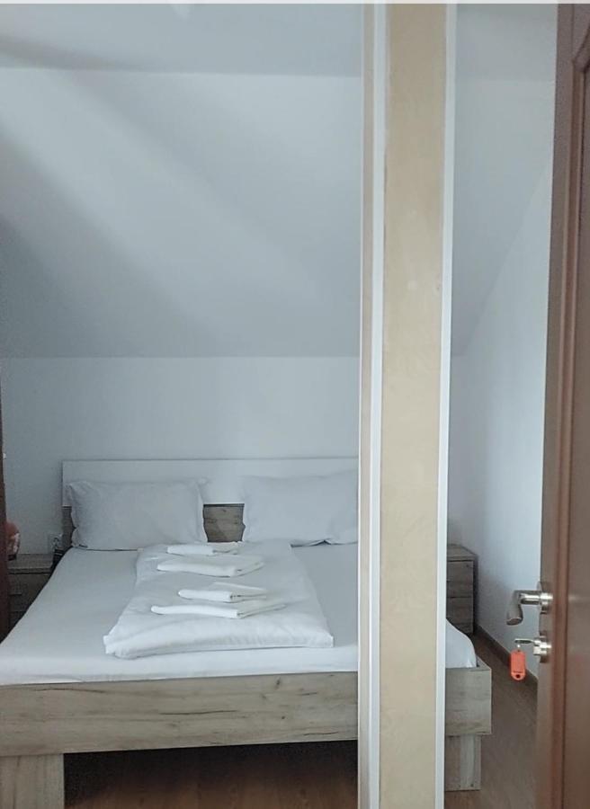 Cîrţişoara Casa Cristina酒店 外观 照片