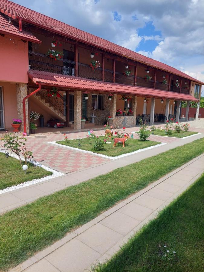 Cîrţişoara Casa Cristina酒店 外观 照片