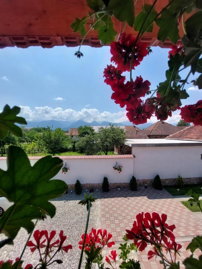 Cîrţişoara Casa Cristina酒店 外观 照片