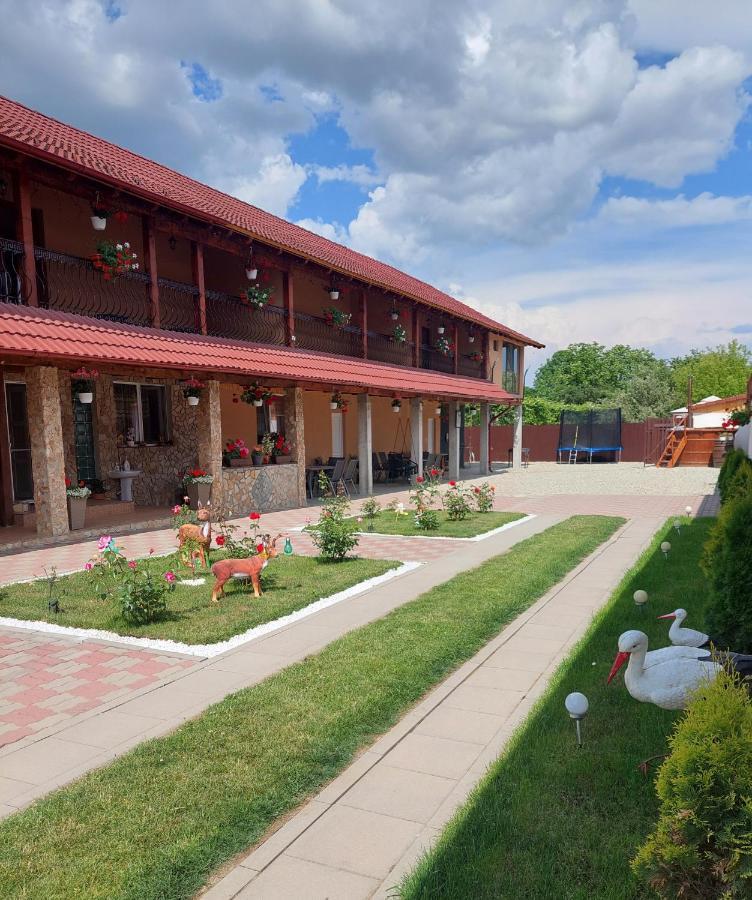 Cîrţişoara Casa Cristina酒店 外观 照片